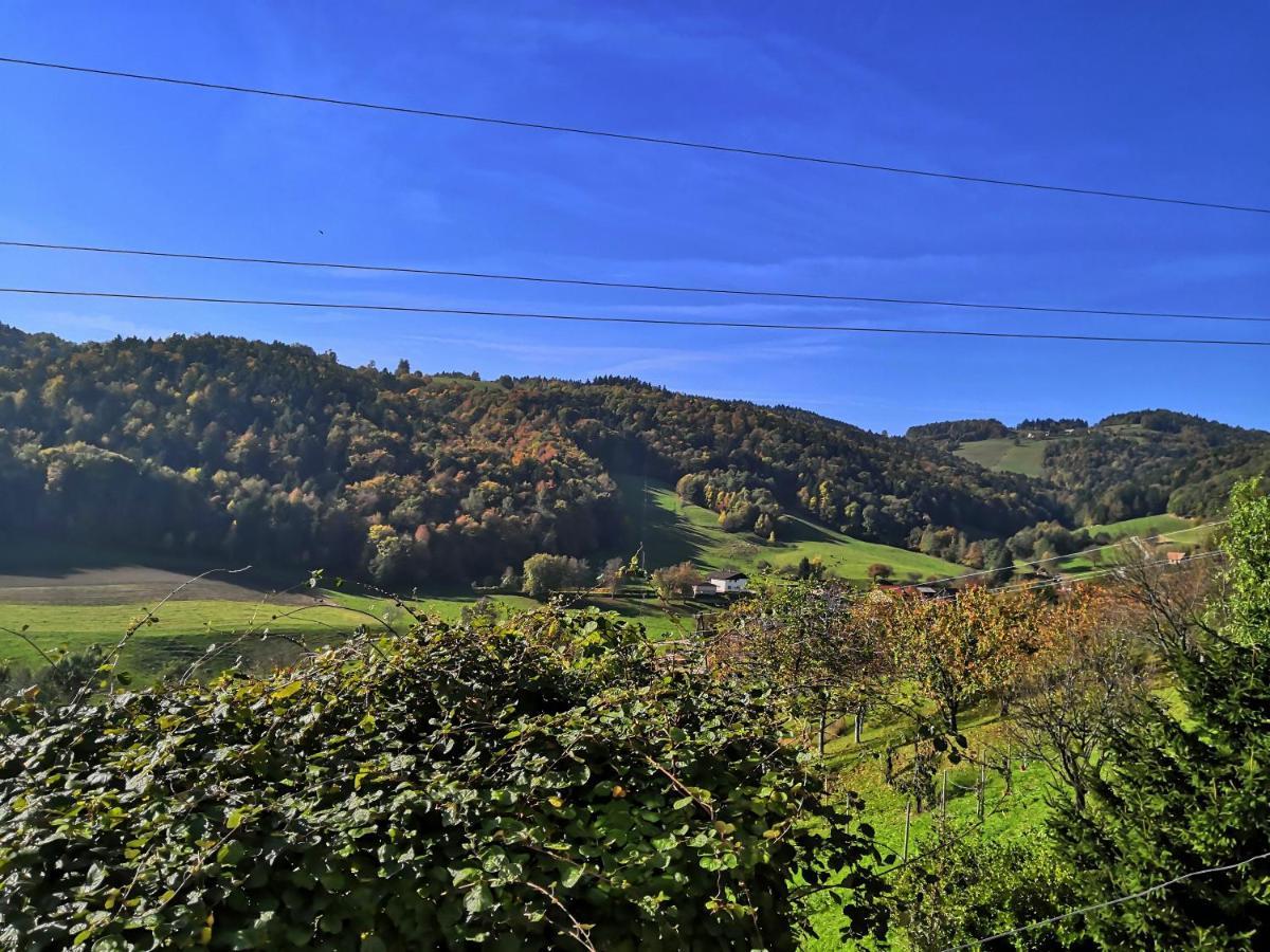 Apartmaji Sofia Maribor Dış mekan fotoğraf